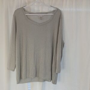 Sag Harbor Light Silver Sparkle Long Sleeve Knit Top